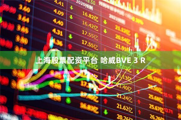 上海股票配资平台 哈威BVE 3 R